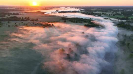清晨雾气日出树林河流浓雾丁达尔阳光
