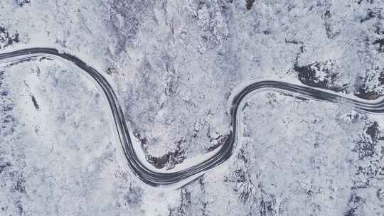 冬天雪景树林雾凇