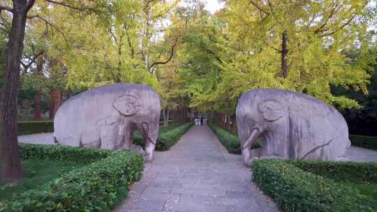 南京明孝陵景区石象路大象雕塑慢镜头空镜