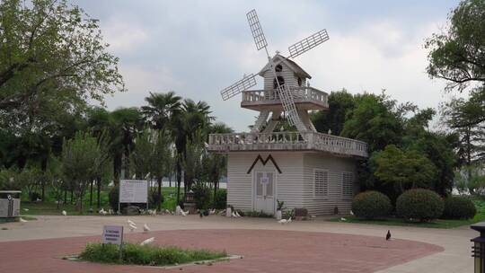 南京玄武湖景区的和平鸽视频素材模板下载