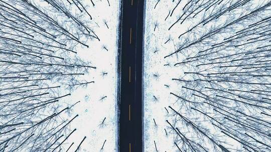 航拍空镜雪景公路两旁