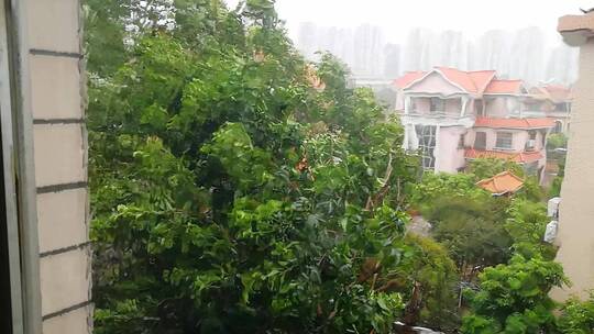 台风来临窗外狂风暴雨