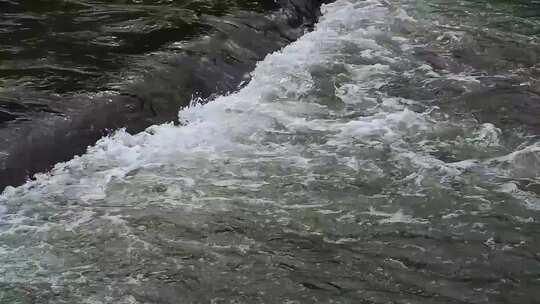 山涧溪流小河流水野外视频实拍