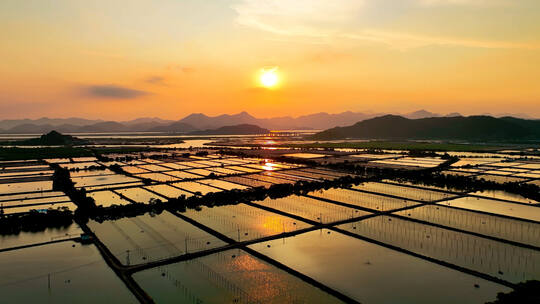 大气唯美日落江南山水田夕阳倒影航拍