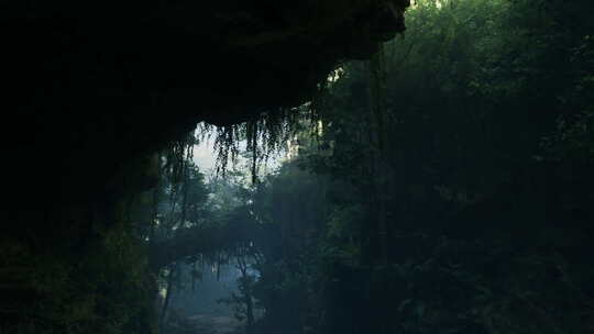 中国乡村风景优美的林荫公路