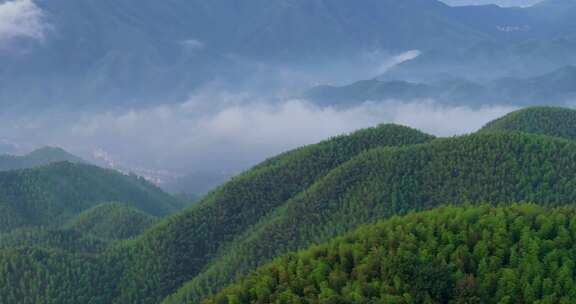 高山竹海云雾云海航拍杭州余杭百丈