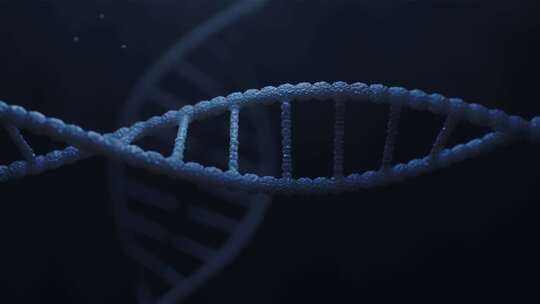 三维DNA螺旋动画