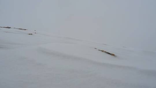 戈壁山坡飞雪