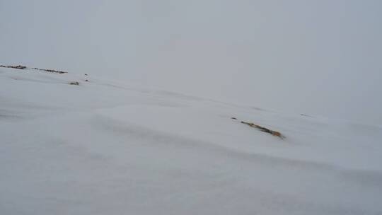 戈壁山坡飞雪视频素材模板下载