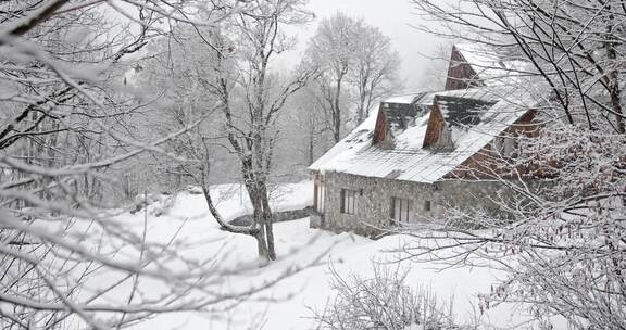 白雪皑皑的森林和房屋