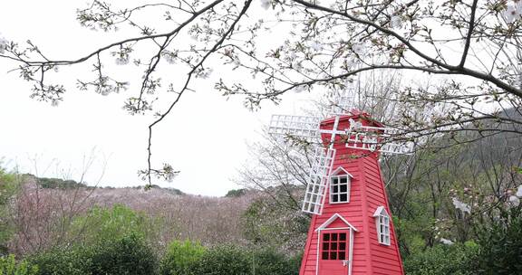 唯美樱花林里的红色风车 浪漫樱花风车