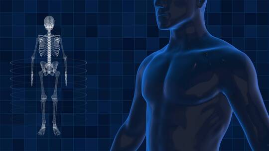 科技透视人体扫描视频素材模板下载
