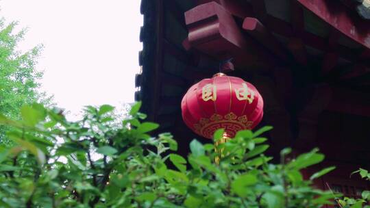 上海古华园 古建筑意境唯美4K实拍原素材