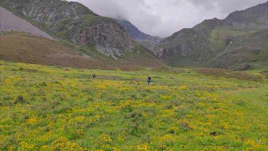 川西格聂山区阿沙沟草原花海的徒步旅行者