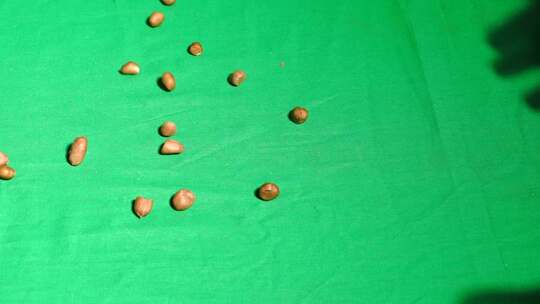 花生 花生米 农作物 农产品 宣传片 广告片
