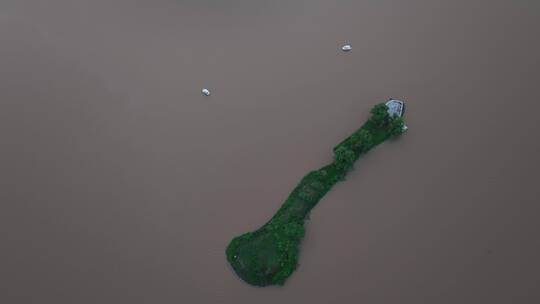 洛河小岛生态