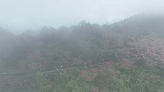 麻城龟山风景区