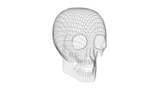 三维人体头骨动画视频素材模板下载