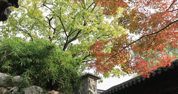 秋天苏州园林唯美红枫古建筑局部特写