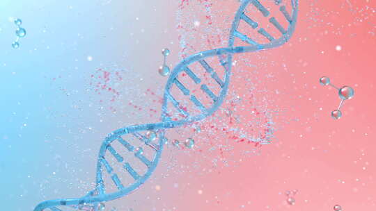 具有分裂分子的DNA基因组结构