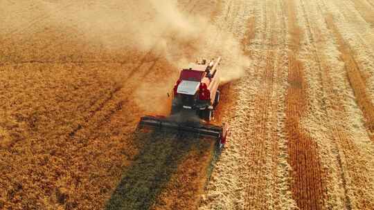 收割机在田间收割小麦