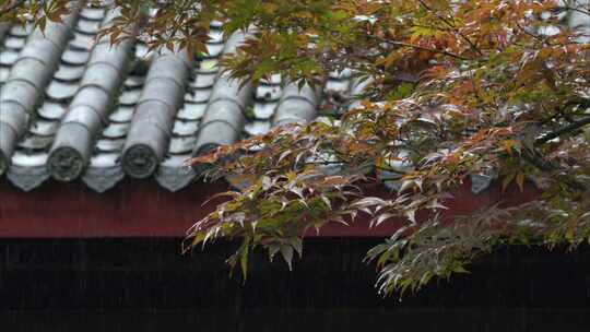 重庆雨季下雨屋檐实拍