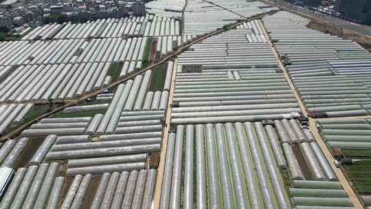 大面积农业温室大棚俯瞰景象