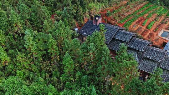 福建龙窑建盏航拍