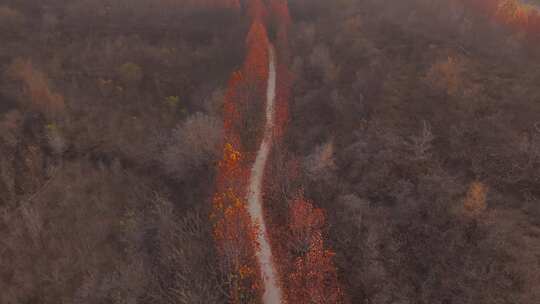 河北 石家庄 井陉县 道路 交通 秋天