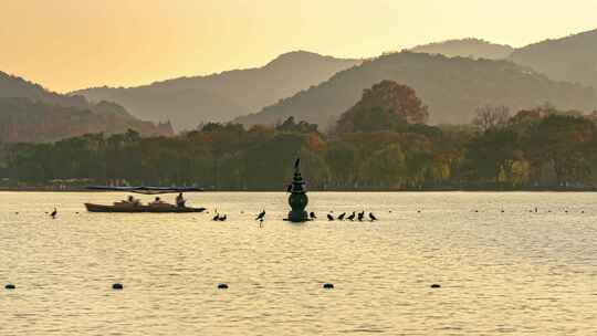 夕阳下的杭州西湖三潭印月延时候鸟成群