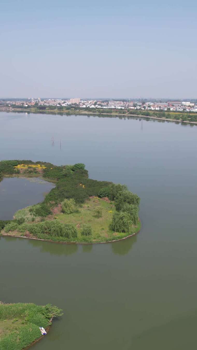 竖屏洛阳洛瀍壑朱樱景区