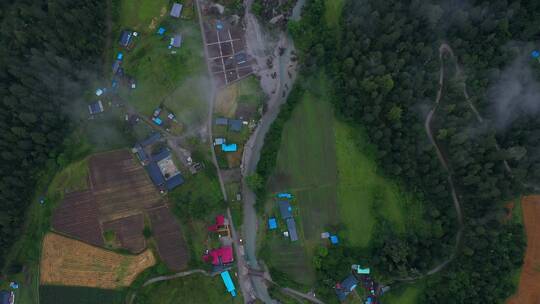 航拍雨雾天的波密岗云杉林风景