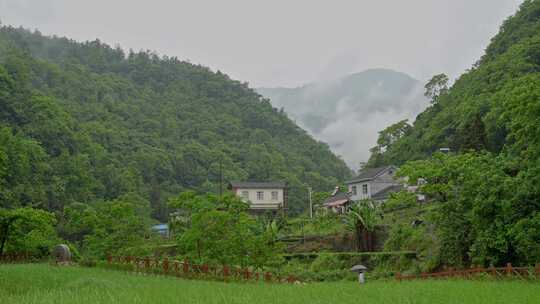 相机延时摄宜都乡村青山云雾缭绕