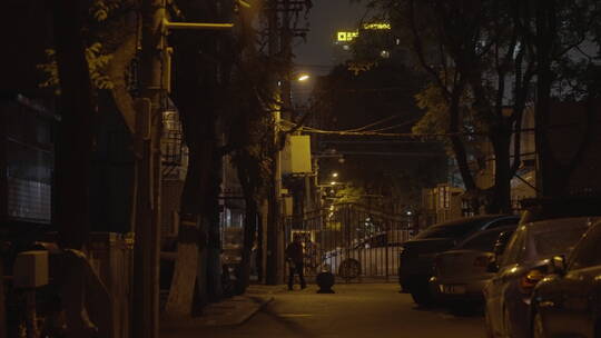 路灯 夜晚空镜 道路夜景