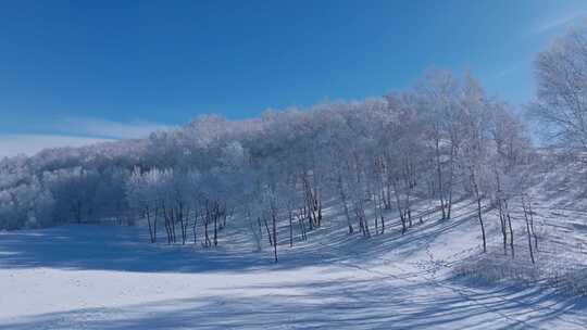 乌兰布统雾凇雪景雪林航拍