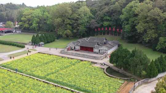 龙岩上杭县古田会议纪念馆会议会址油菜花田视频素材模板下载