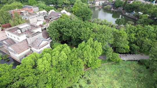 东莞可园风景区仿古建筑园林景观航拍