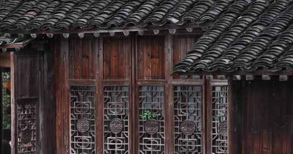 （慢镜）中国千年古镇乌镇下雨天屋檐滴水