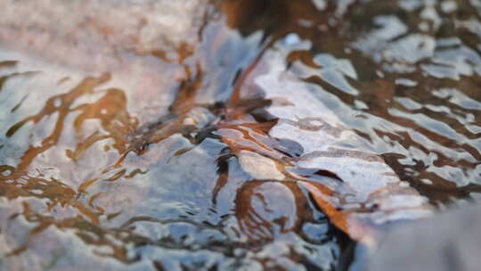 流水 小溪 生命源泉 流动的水 慢放 清水