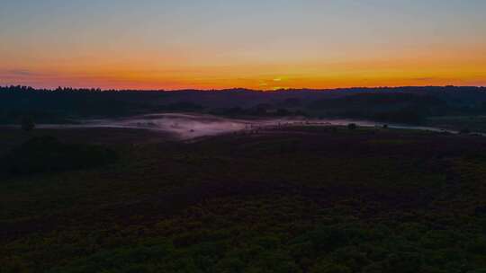 日出森林日出清晨日出