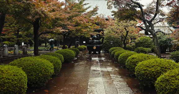 神道寺庙，树木和室外与雕像，雨和路径与建