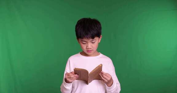 帅气的中国小男孩在读书