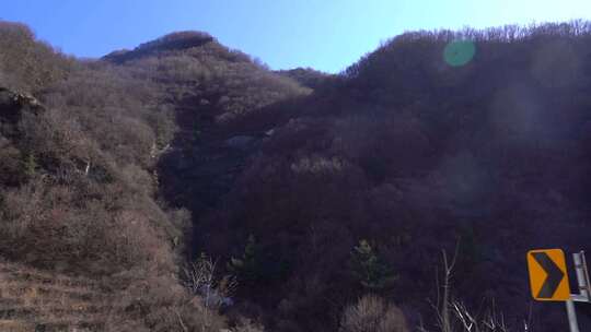 公路旁山野树林景色