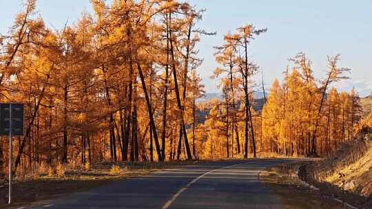 山间公路金秋风景