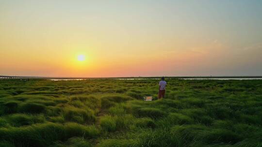 航拍鄱阳湖湿地草原