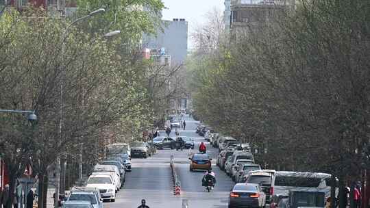 春天的北京胜古中路街道