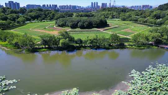 杭州市八卦田遗址公园航拍风光