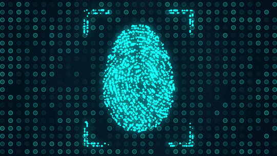 手指 指纹 指纹扫描