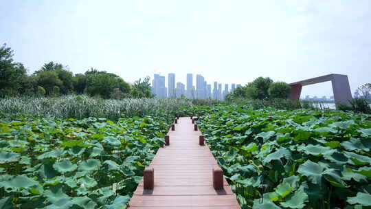 武汉江夏区汤逊湖壹号湿地公园