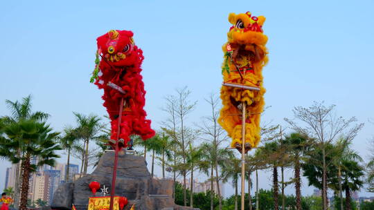 春节过年舞狮醒狮